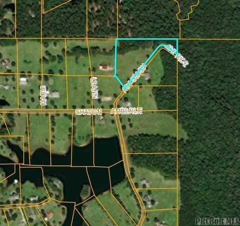 Tbd Anastasia Drive, Carriere, MS 39426
