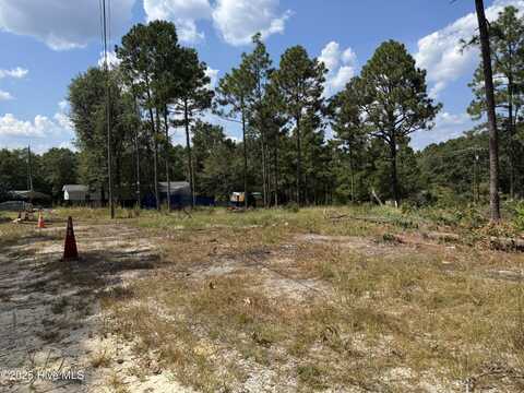 0 Wiregrass Road, Hamlet, NC 28345