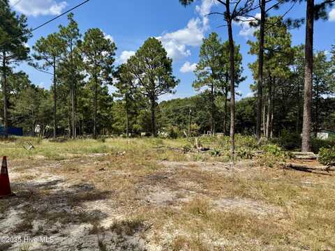 00 Wiregrass Road, Hamlet, NC 28345