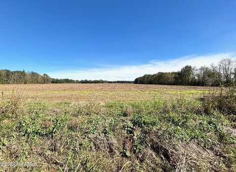 Lot 4 Savoie Road, Cankton, LA 70584