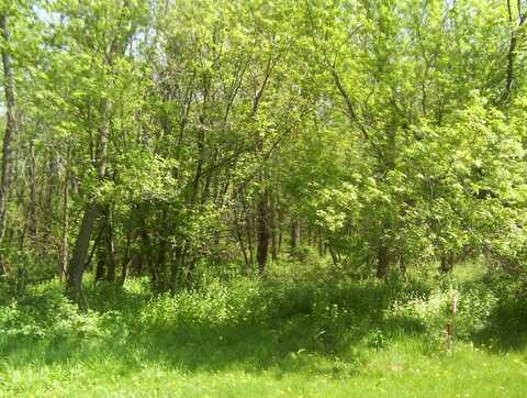 19-57 Woodland, LAKE CARROLL, IL 61046