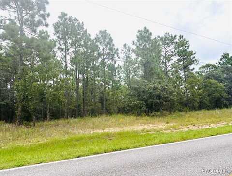 3995 W Hampshire Boulevard, Citrus Springs, FL 34433