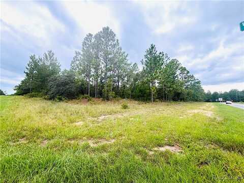 4021 W Malaluka Circle, Citrus Springs, FL 34433