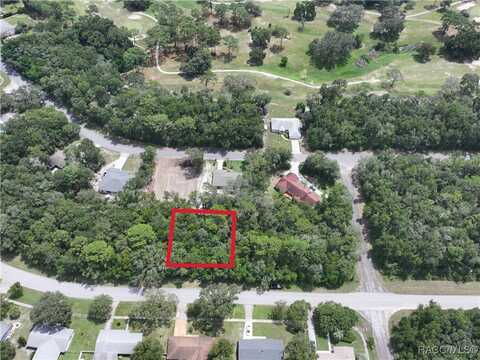 9136 N Golfview Drive, Citrus Springs, FL 34434