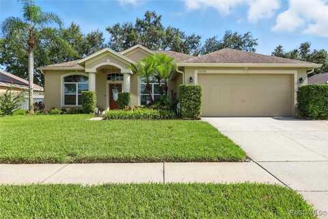 22330 Willow Lakes Drive, Lutz, FL 33549