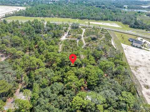 Restoration Road, Brooksville, FL 34613