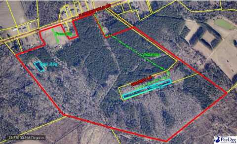 TBD E Friendfield Road, Coward, SC 29530