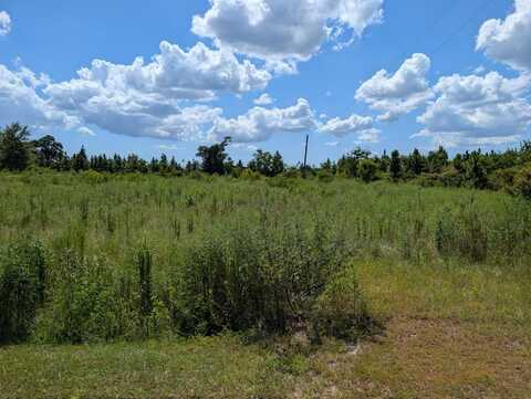 111 Goldenrod Ln, Wewahitchka, FL 32465
