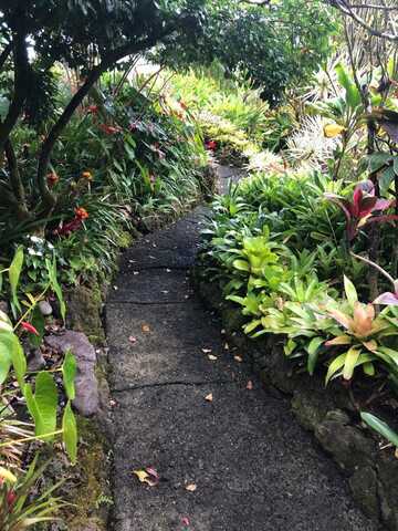 725 Nahiku Rd, Hana, HI 96713