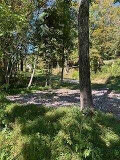 21.25 Acre Chestnut Valley Road, Vonore, TN 37885