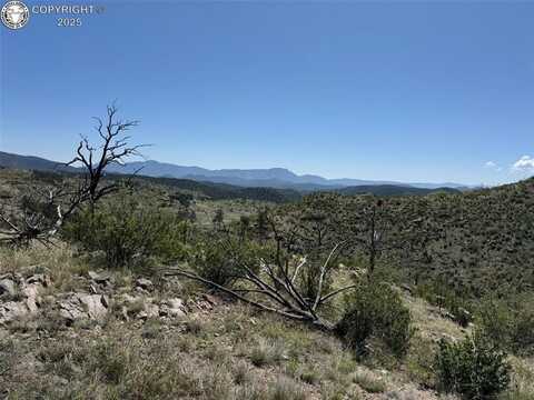 Tr-29 County Road 18X, Cotopaxi, CO 81223