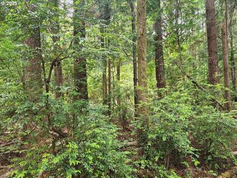 Cedar Hollow RD, Port Orford, OR 97465