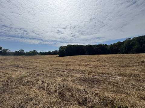 Lot 24 Hickory Cove LN, Moneta, VA 24121