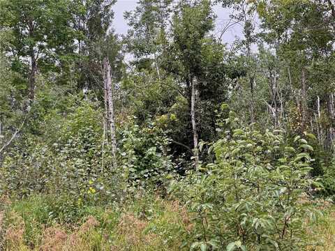 3xyz County Road 103, Clear Creek Unorg. Terr., MN 55707