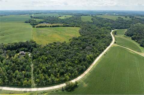 16xxx Welch Short Cut, Welch Twp, MN 55089