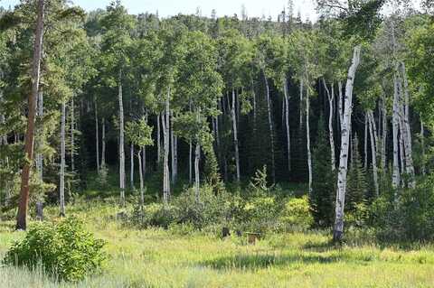 21525 GREEN RIDGE COURT, Oak Creek, CO 80467