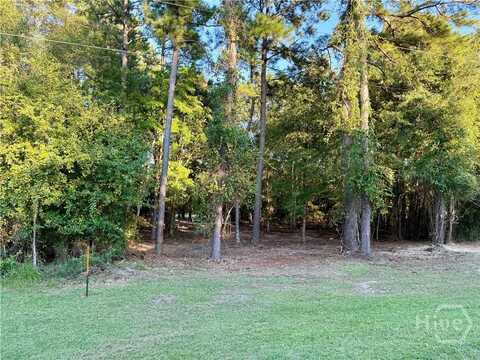 0 Friendship Road, Sylvania, GA 30467