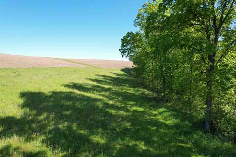 17 Acres +/- Sherry Ridge Road, Soldiers Grove, WI 54655
