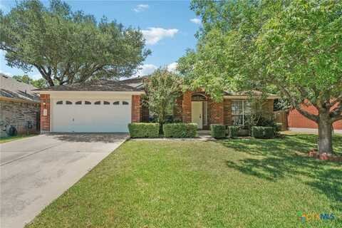 2213 Zoa Drive, Cedar Park, TX 78613