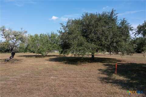 Tbd Twin Lakes Circle, Goliad, TX 77963
