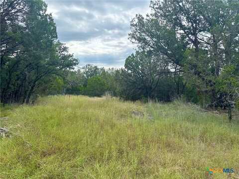 Lot 2 Ph 6 CR 421, Evant, TX 76525