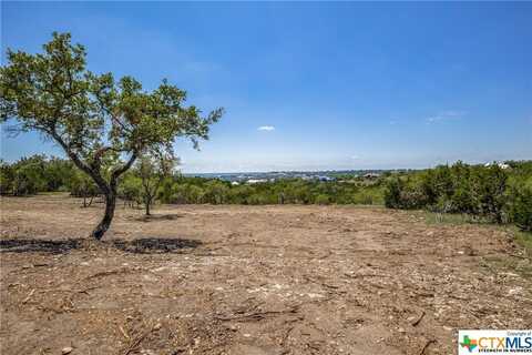 218 Quest Avenue, Spring Branch, TX 78070