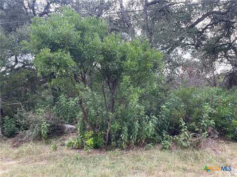 1652 Comfort, Canyon Lake, TX 78133