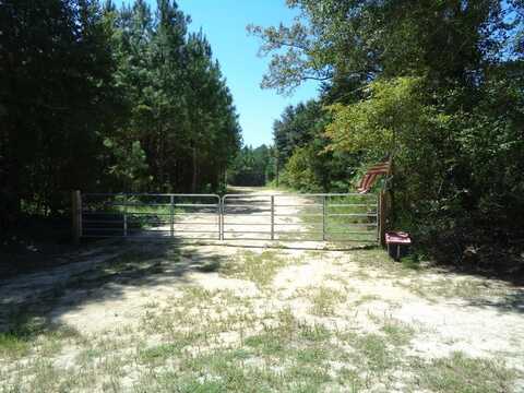 2400 Roe Taylor, Damascus, GA 39841