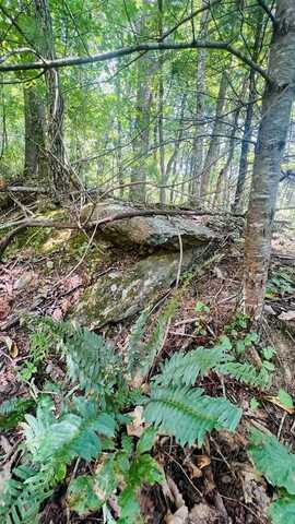 Lot 68 Black Gum Trl, Fancy Gap, VA 24328