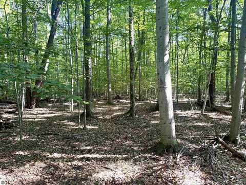 000 S Springview Drive, Empire, MI 49630