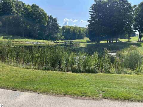 Lot 48 Sparrow Hawk Drive, Bellaire, MI 49615