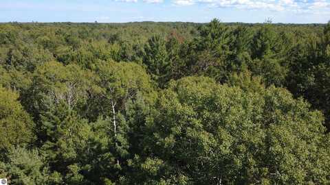 x Franklin Road, Alger, MI 48610