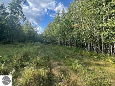 8500 W Wiley Road, Weidman, MI 48893