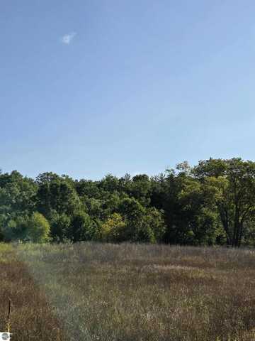 00 Runyan Lane, Hale, MI 48739