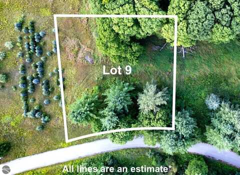Lot #9 Kadi Lane, Lake Ann, MI 49650
