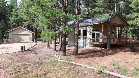100 Onate, Angel Fire, NM 87710