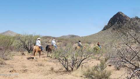5031 W Helmet Peak Road, Sahuarita, AZ 85629