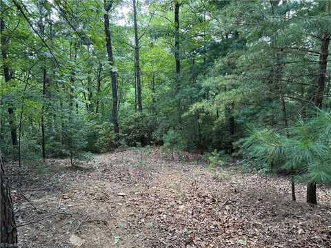 Lot 102 & 103 Hickory Hollow Road, Purlear, NC 28665
