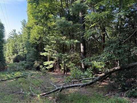 00 Timber Ridge Road, Millers Creek, NC 28651