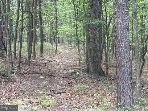 152 Acres OFF PLUM RUN ROAD, RIDGELEY, WV 26753