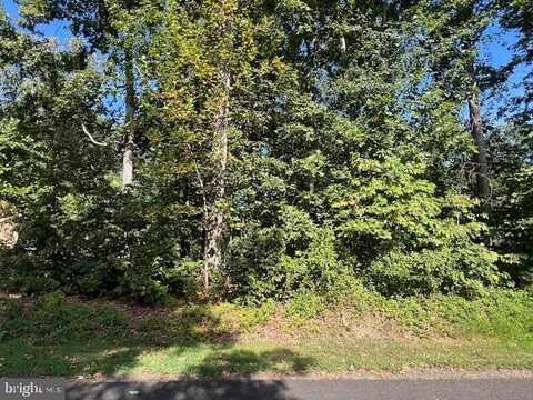 206 SAYLERS CREEK ROAD, LOCUST GROVE, VA 22508