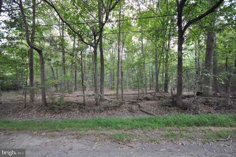 FINNEGANS LN AVE B, KENDALL PARK, NJ 08824