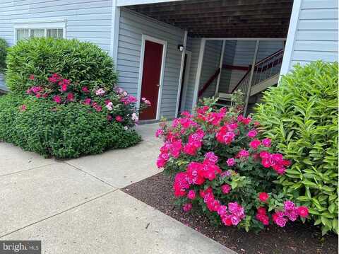 9901 BOYSENBERRY WAY, GAITHERSBURG, MD 20879