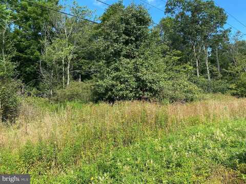 TBD GREEN GLADE ROAD, SWANTON, MD 21561
