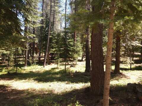 17249 Northwoods Boulevard, Truckee, CA 96161