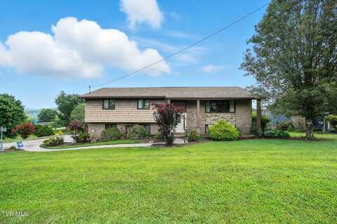 4820 Lake Park Court, Kingsport, TN 37664