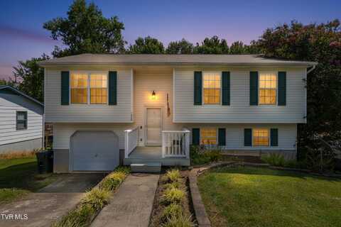138 Village Lane, Gray, TN 37615