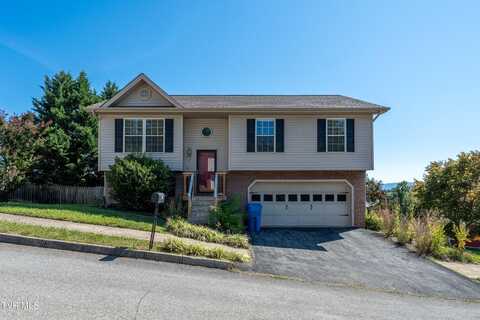 90 Lorena Lane, Jonesborough, TN 37659