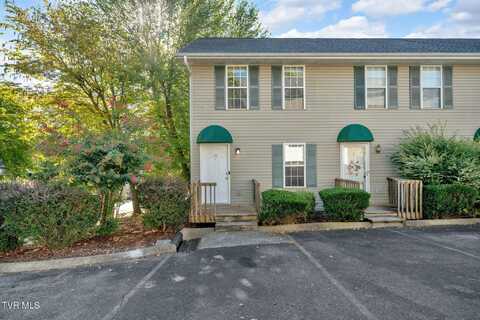 10 Lake Village Court, Johnson City, TN 37601