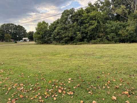 Cherrywood Ave, MCKENZIE, TN 38201